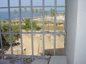 754503642_9070ce0794_z