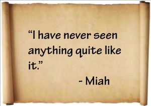 Never-seen-anything-like-it