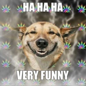 ha-ha-ha-very-funny